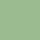 Art Mica Mineral Powder - Golden Green, 9 G