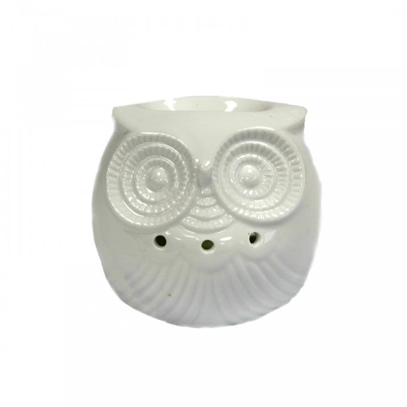 Owl Aroma Lamp