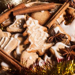 Gingerbread Fragrance Oil - 10 ML