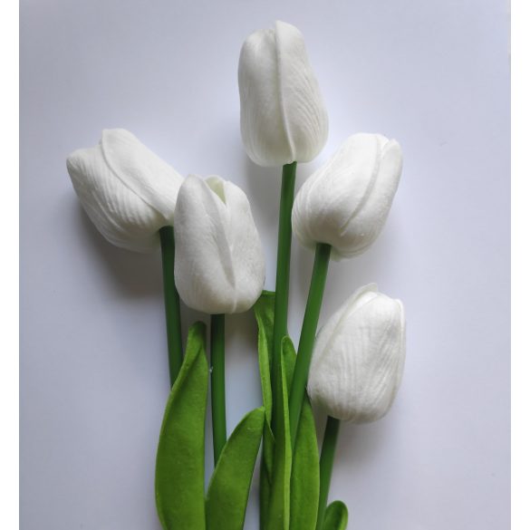 Gumi tulipán - 5 szál, fehér