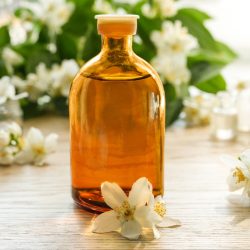 Premium Fragrance Oil - Jasmine, 10 ml