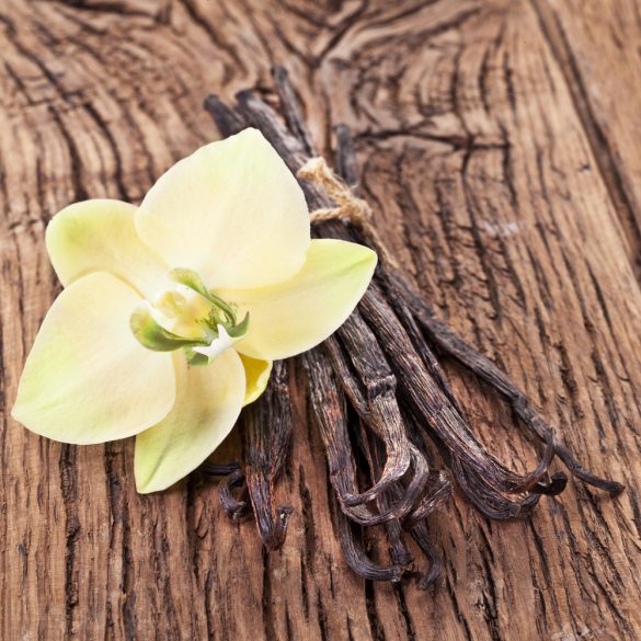 Vanilla Fragrance Oil - 10 ML