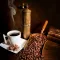Coffee House Fragrance Oil - 10 ML