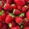 Premium Fragrance Oil - Strawberry, 10 ML