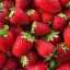 Premium Fragrance Oil - Strawberry, 10 ML